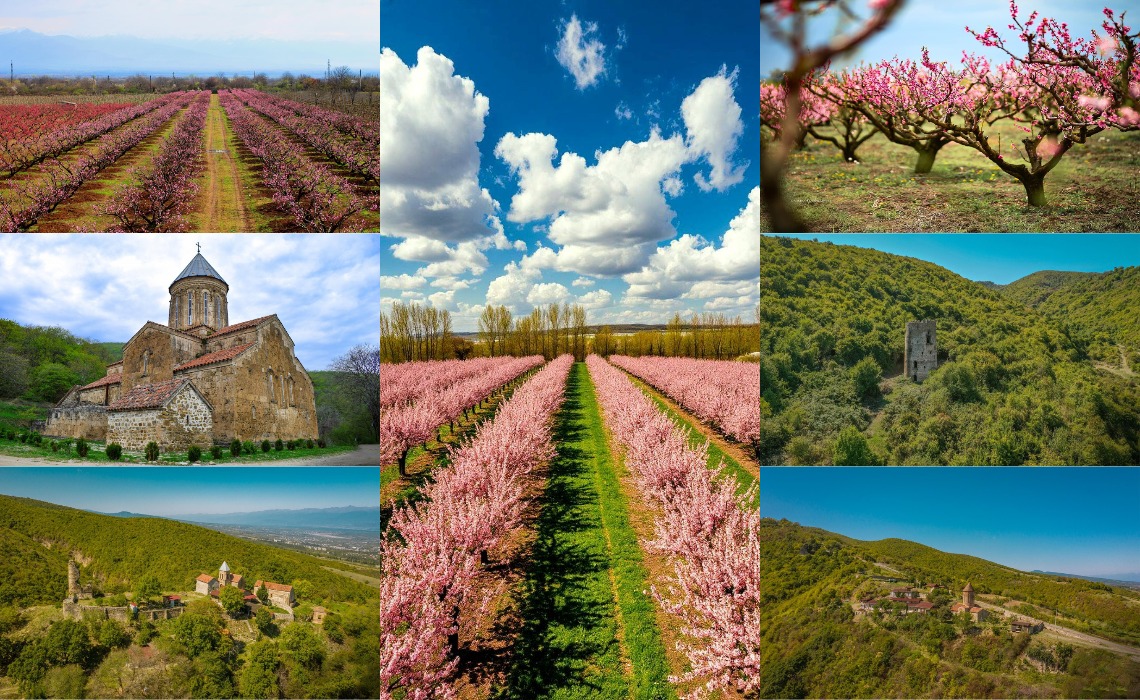 მოგესალმებით 9 აპრილს (დასვენება) კარდენახის კომპლექსი, აყვავილებული ატმის ბაღები, ვეჯინის დედათა მონასტერი, ვეჯინის ამაღლების მონასტერი, და ა.შ